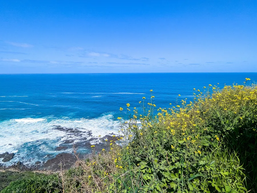 Road trip australia costs and budgets