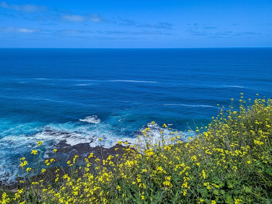 Getting started with road trip australia